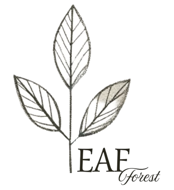 square-logo